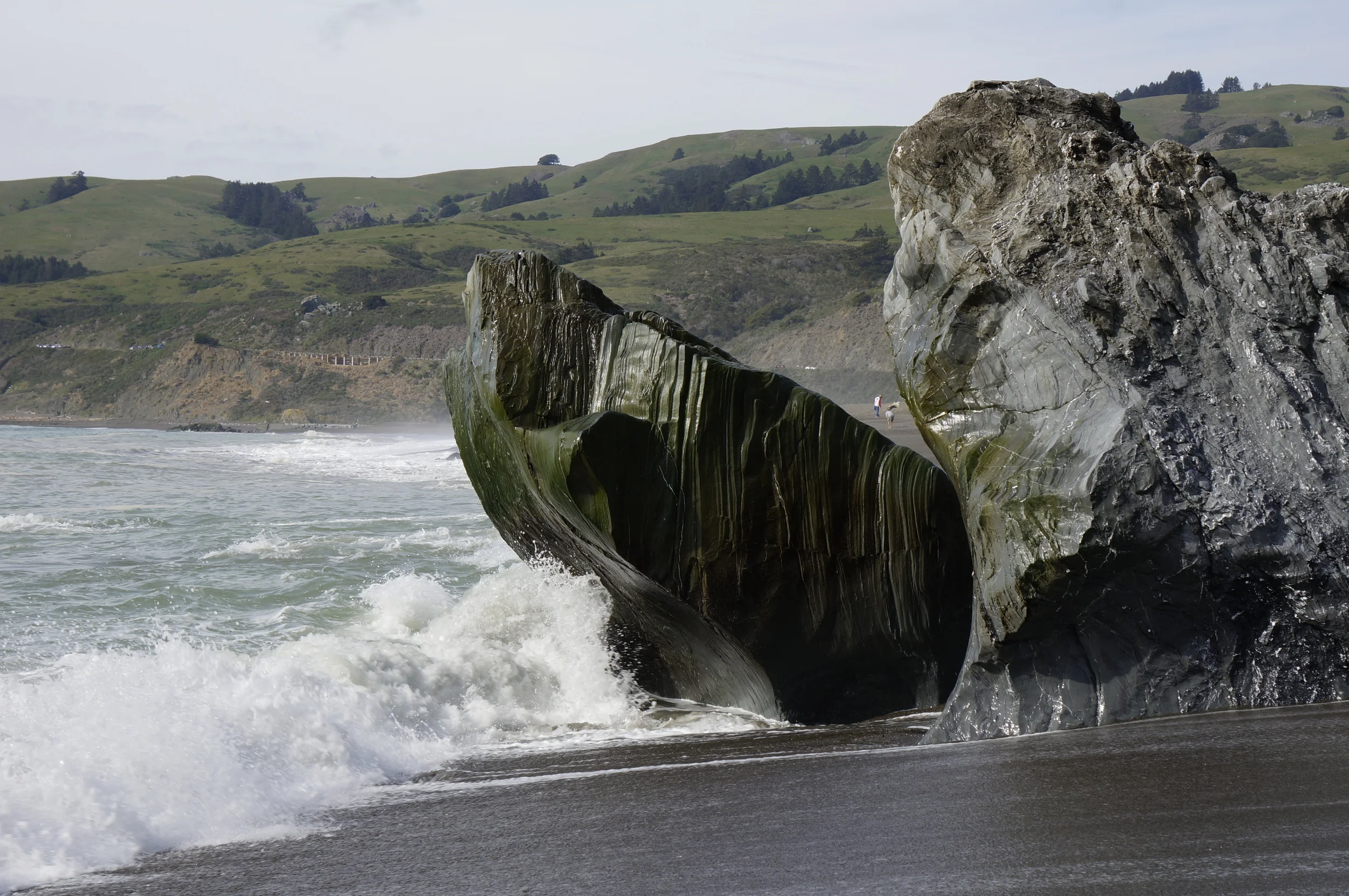_DSC3930.JPG