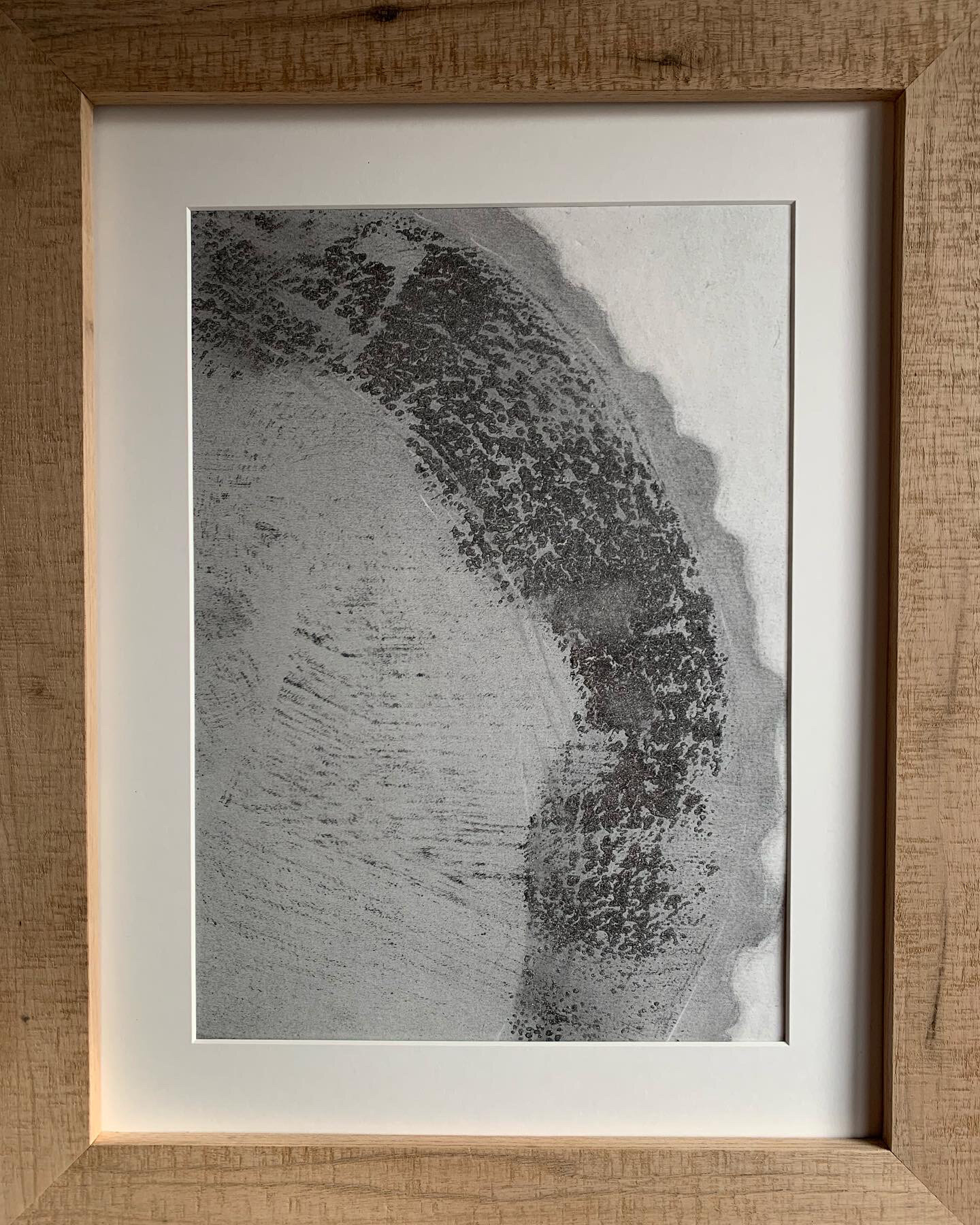 Tree Ring Fingerprint 4