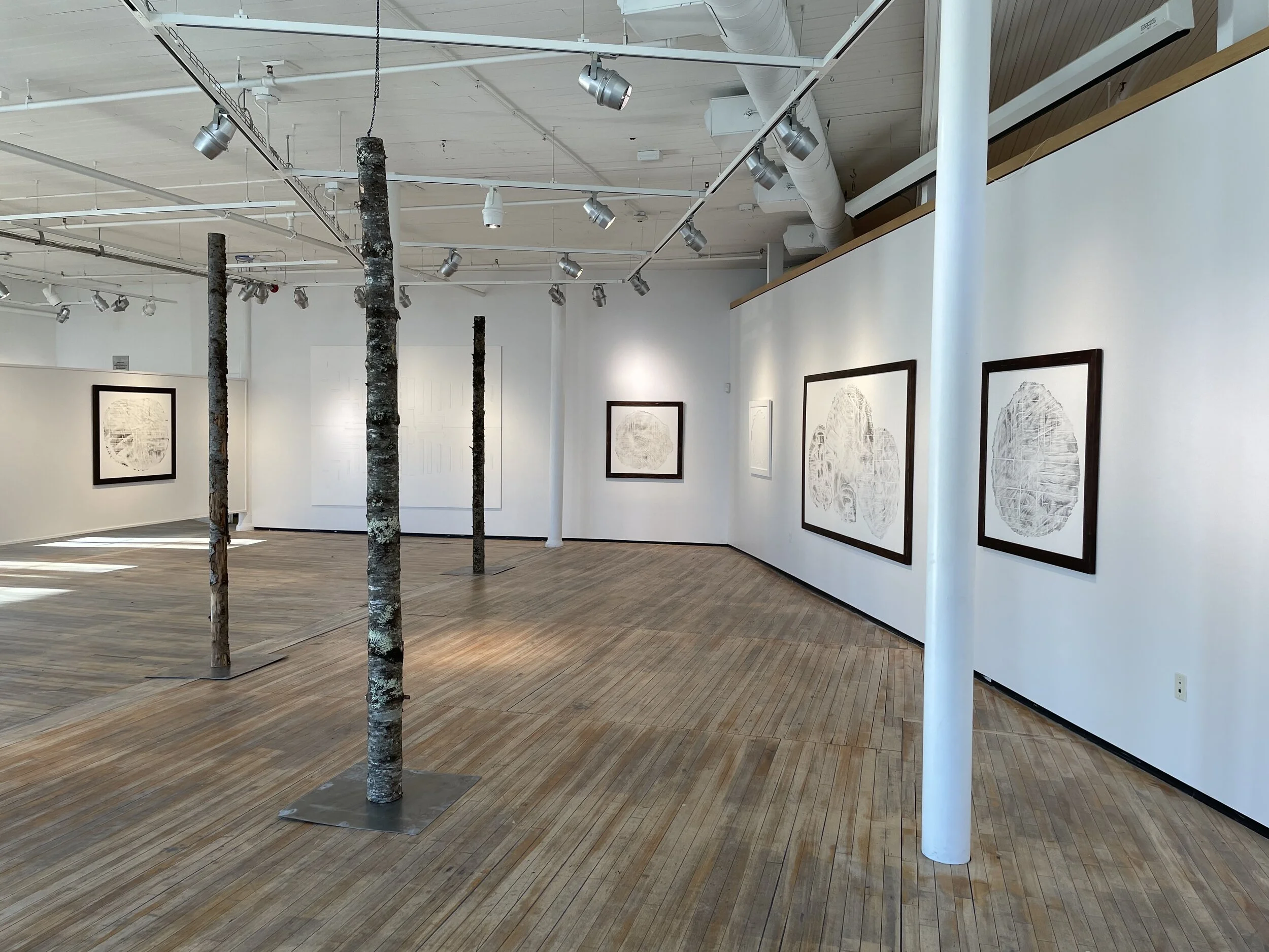  Installation view 