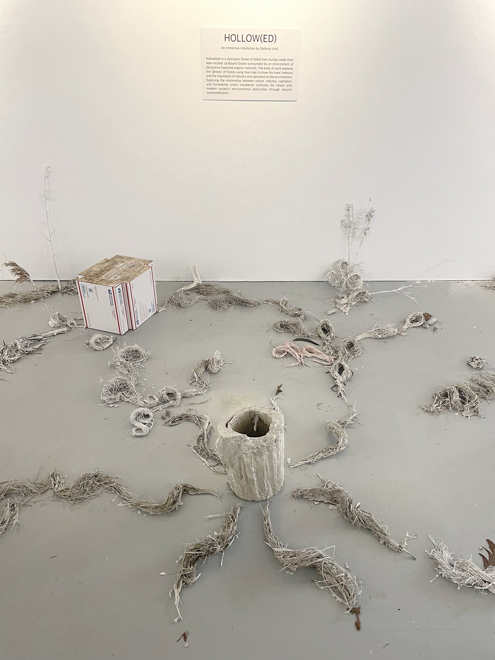 Hollow(ed)  - Installation View