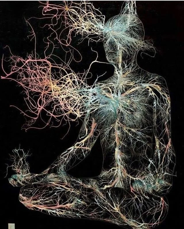 ✨Quarantine mood ✨  artwork: @gdunnart &ldquo;There is a fundamental field of information that is the source of our consciousness. Consciousness is not an epiphenomenon of your brain, it's actually something that your brain is tuned into like a radio