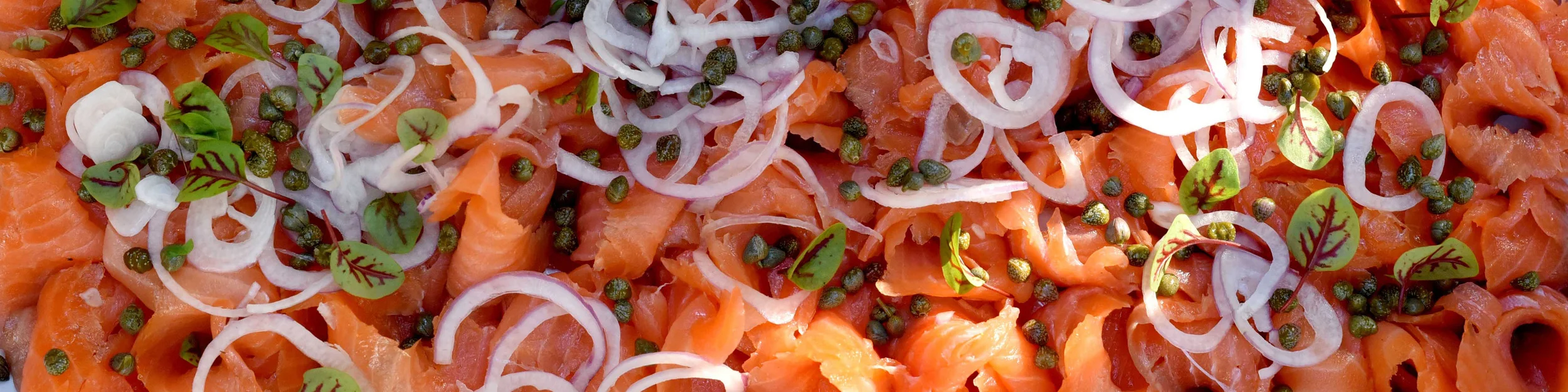 Salmon.banner.R.jpg