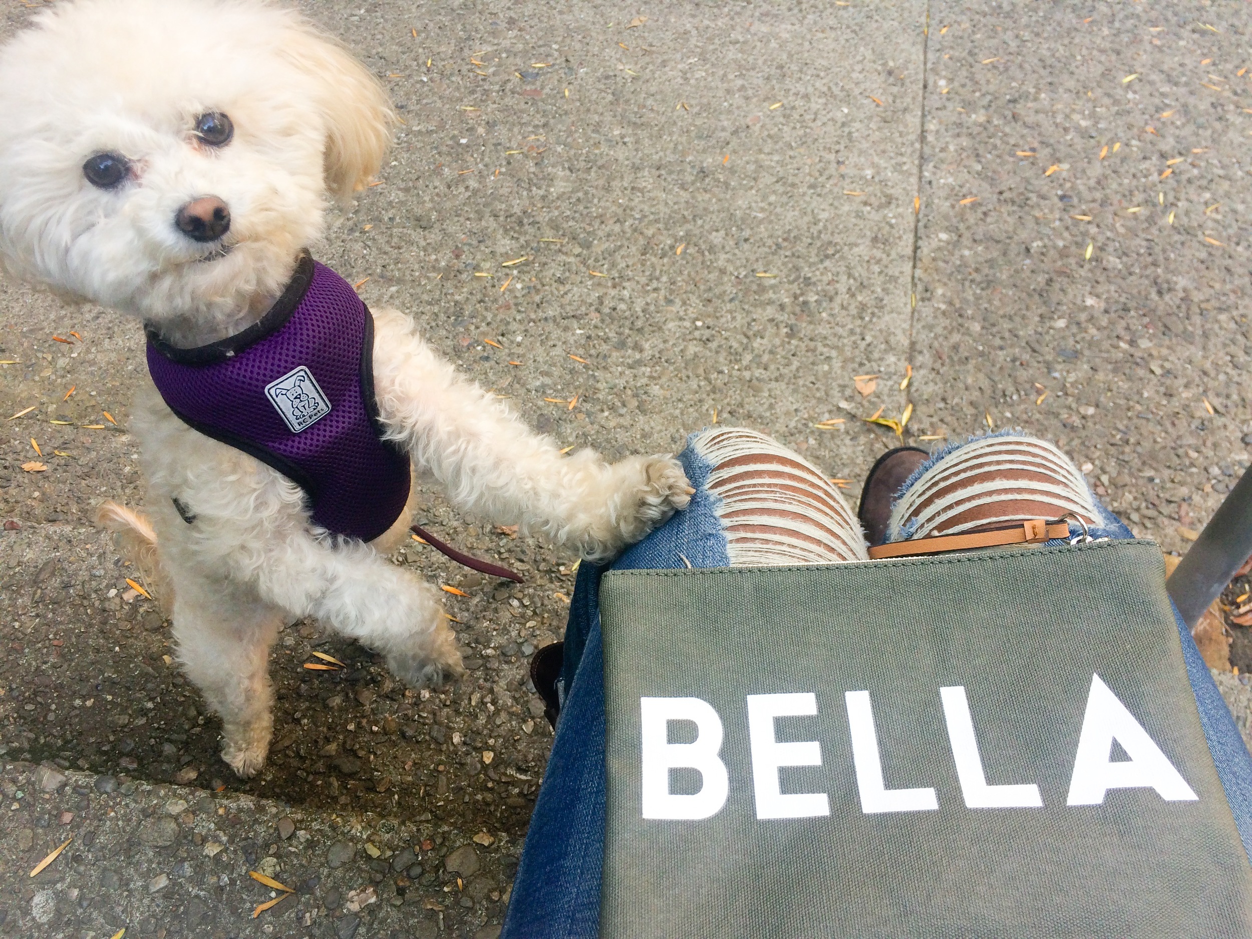 Ciao Bella!