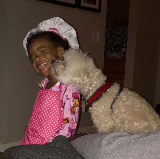 When I ask my daughter who Bella is to her she responds &ldquo;she&rsquo;s my bark bark sister!&rdquo; #sisters #dogsofinstagram #toddlerlife