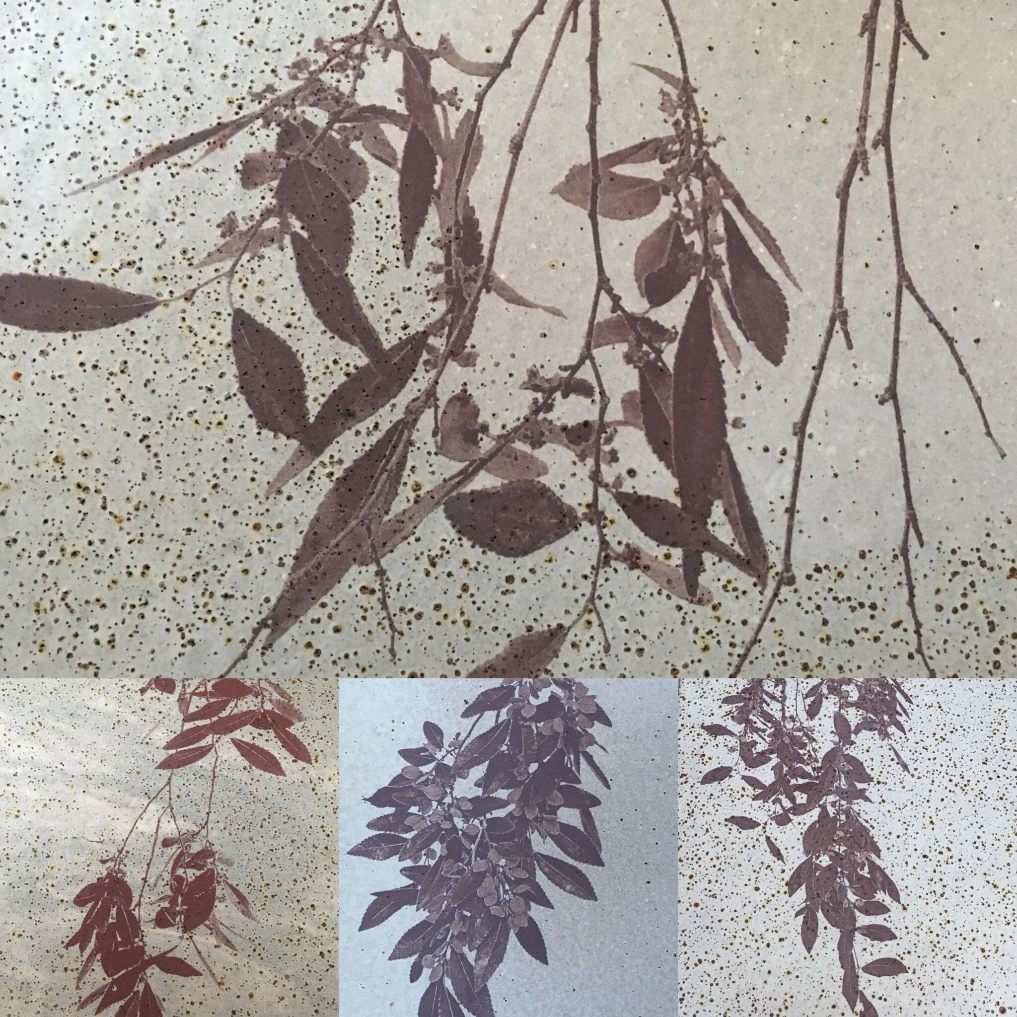 D6036CCF-56C5-4690-9A50-4895BFAEDA75 2.JPG