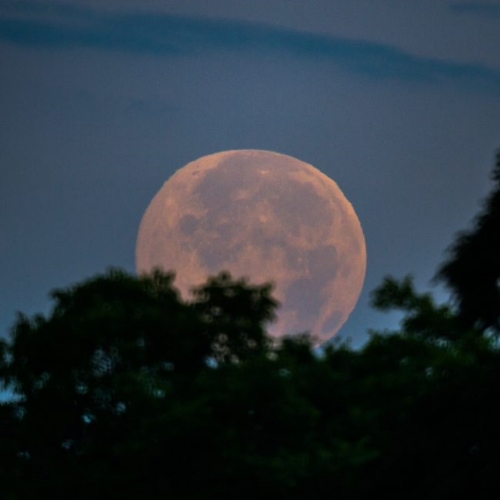 June 20, 2016 Summer Solstice Full Moon, photo by Greg Hogan