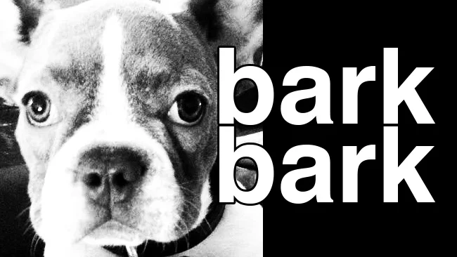 barkbark_noodletownusa.jpg