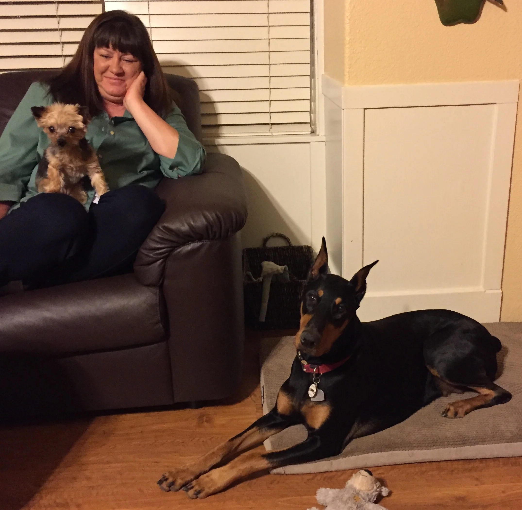 dog down down stay mat.jpg