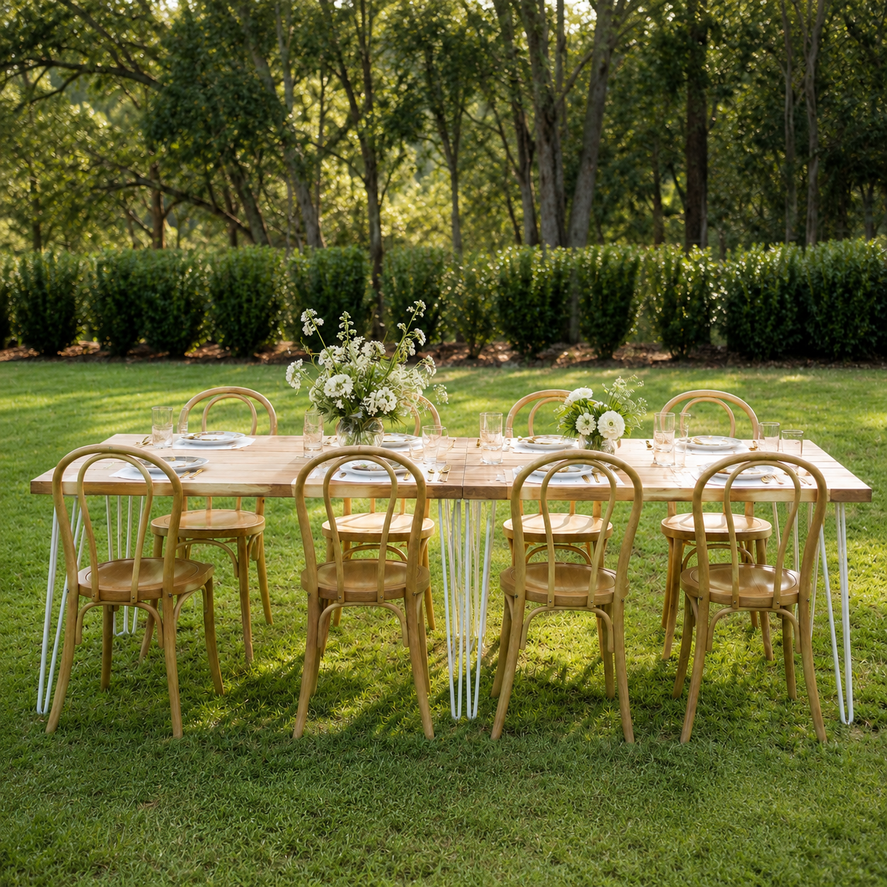 naturalbentwoodchairs.png