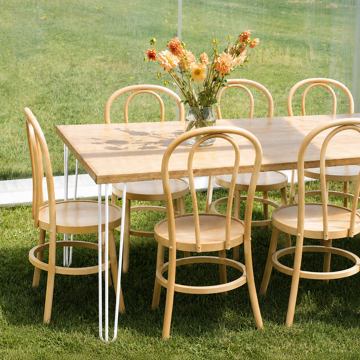 natural bentwood chair - white legs.png