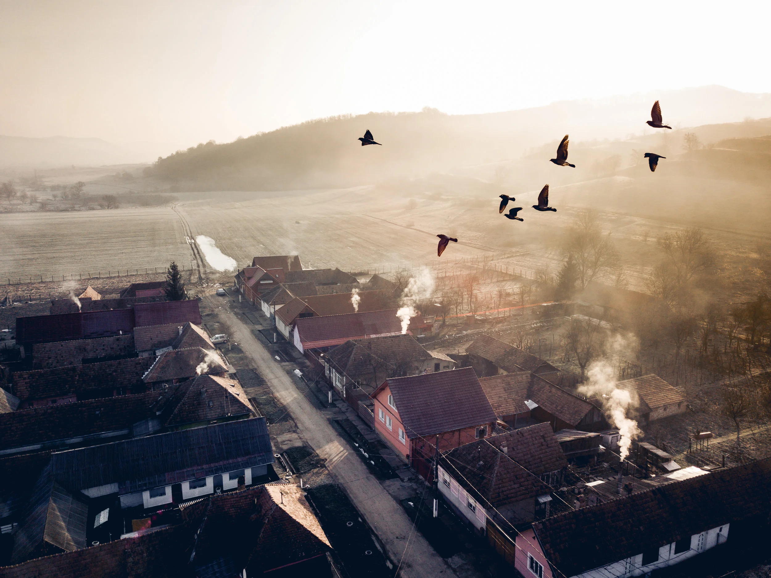 Morning fly in Romania