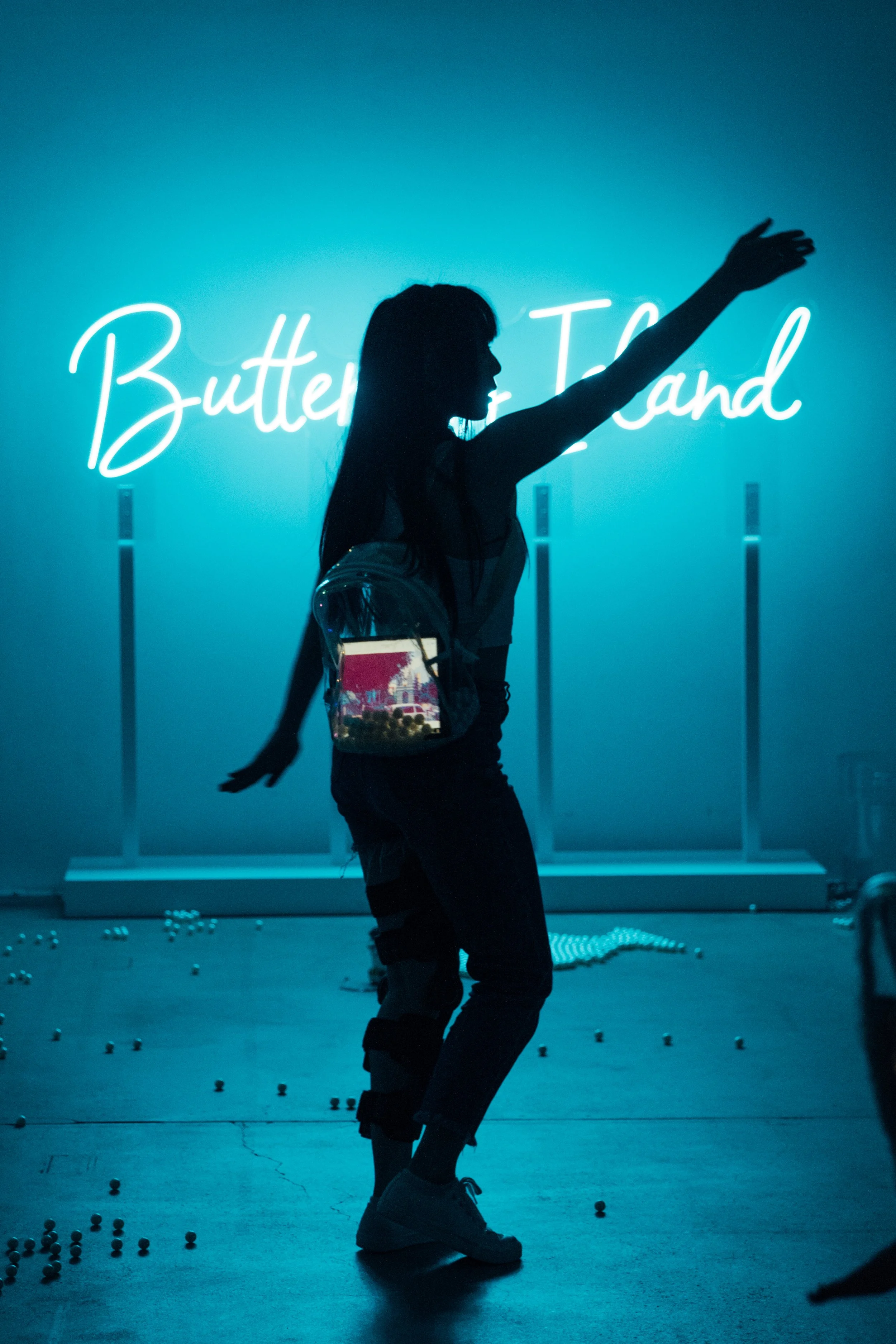 Butterfly Island at TaiKwun