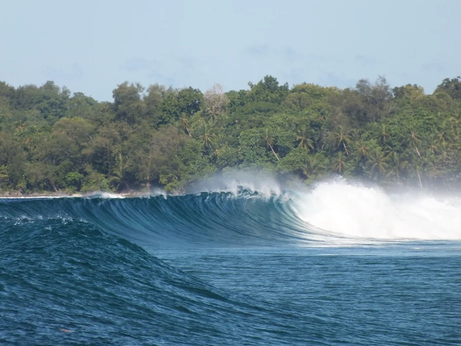 s-skullsurf-a.jpg