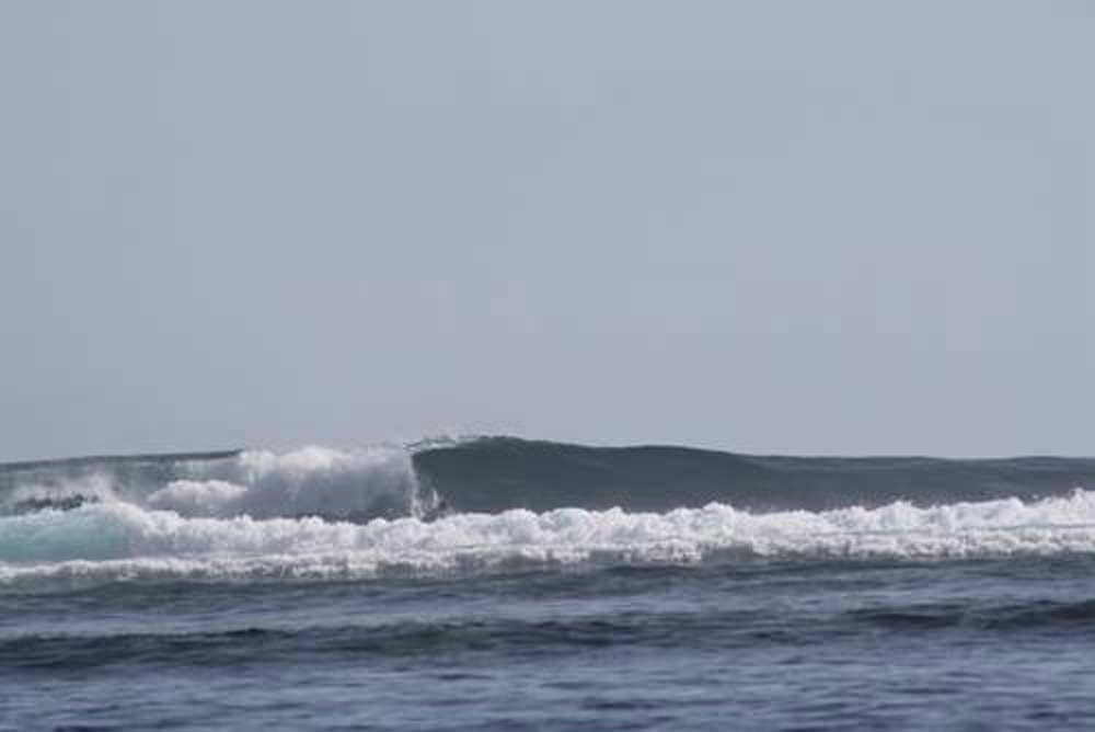 tai-surf.jpg