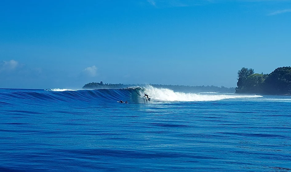 surf.PNG