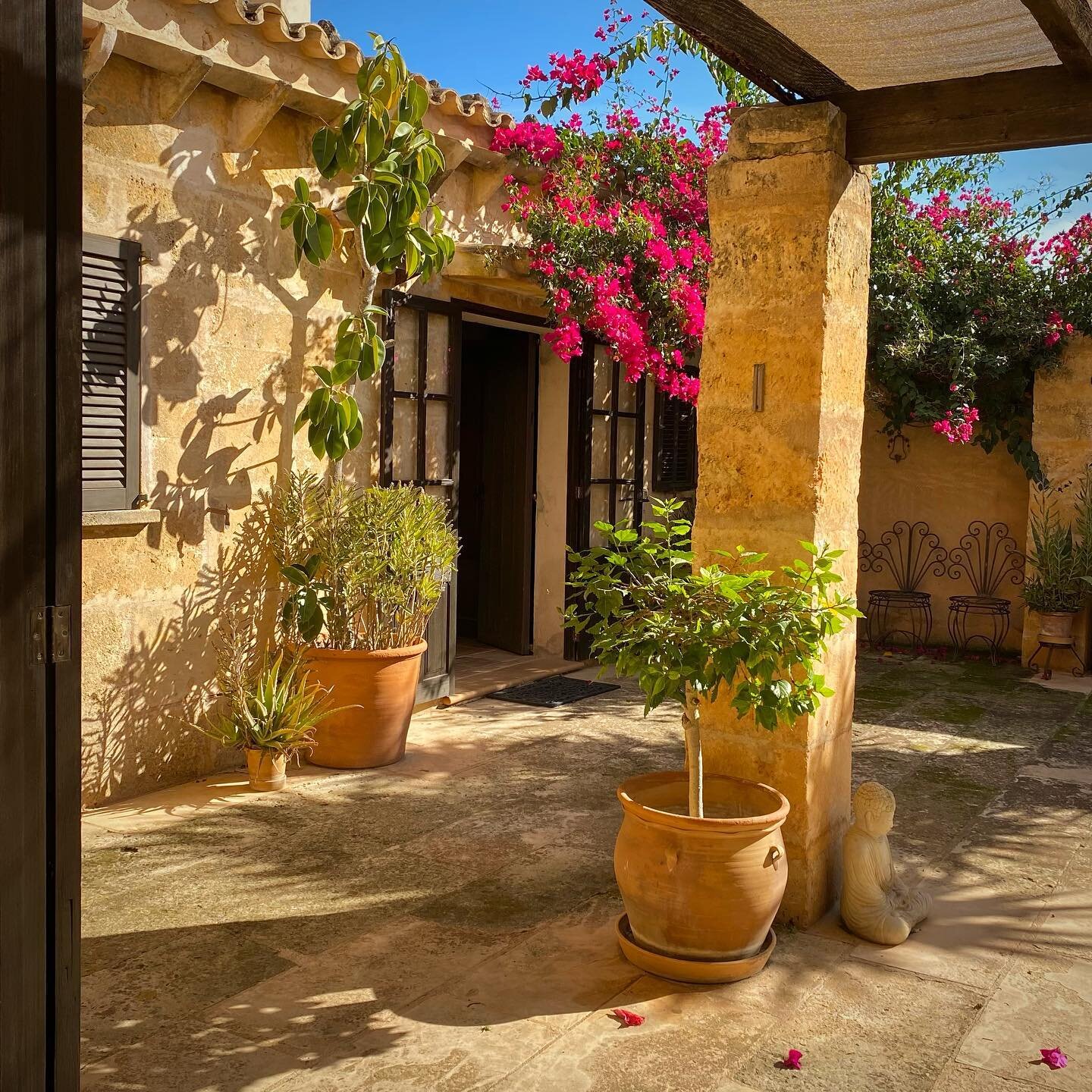 November &hellip;..
.
.
#blueskies #beautifulmallorca #corral #finca