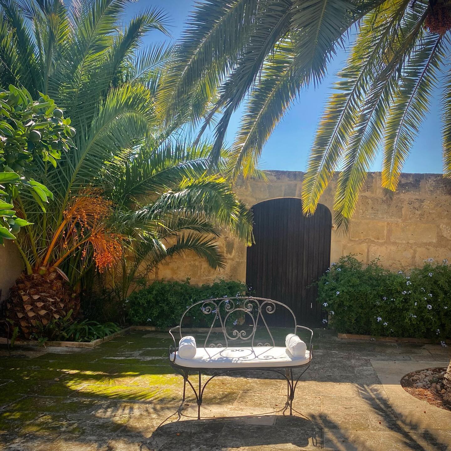 The prettiest of light at this time of year&hellip;.. 
.
#locationmallorca #walledgarden #mediterraneancourtyard #corral #finca #mediterraneanstyle #photolocation #fotolocation #filmlocation #letsshootoutside