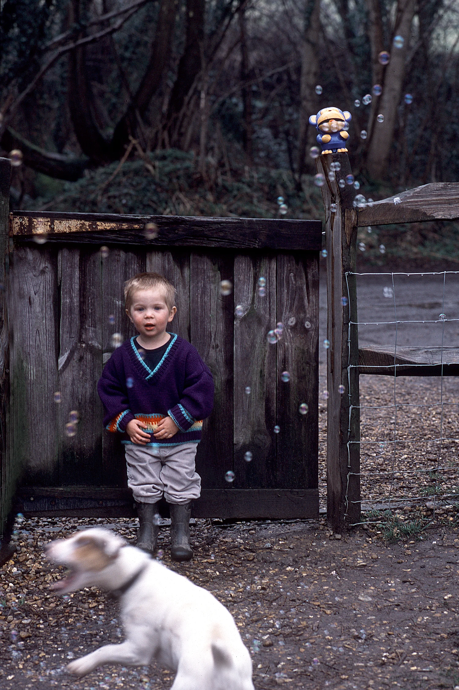 Billy and Angus, Portrait by Anthony Oliver