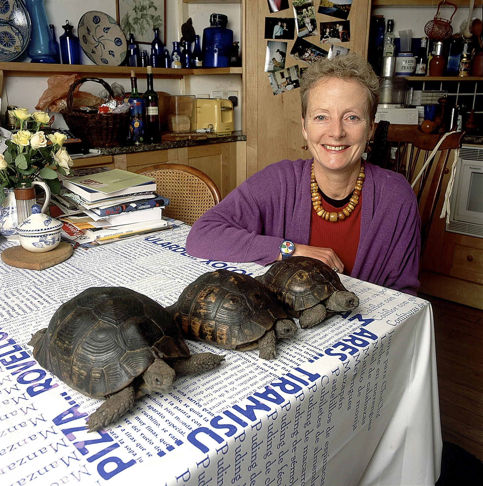 Tortoise Collector, Portrait by Anthony