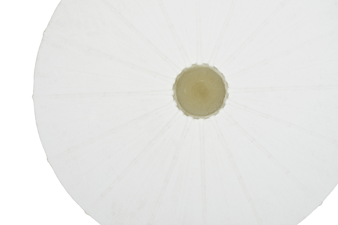 Seed0006.jpg