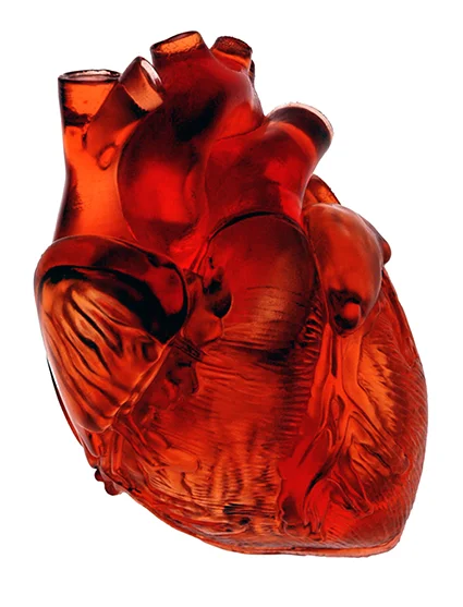 HandHeart.jpg