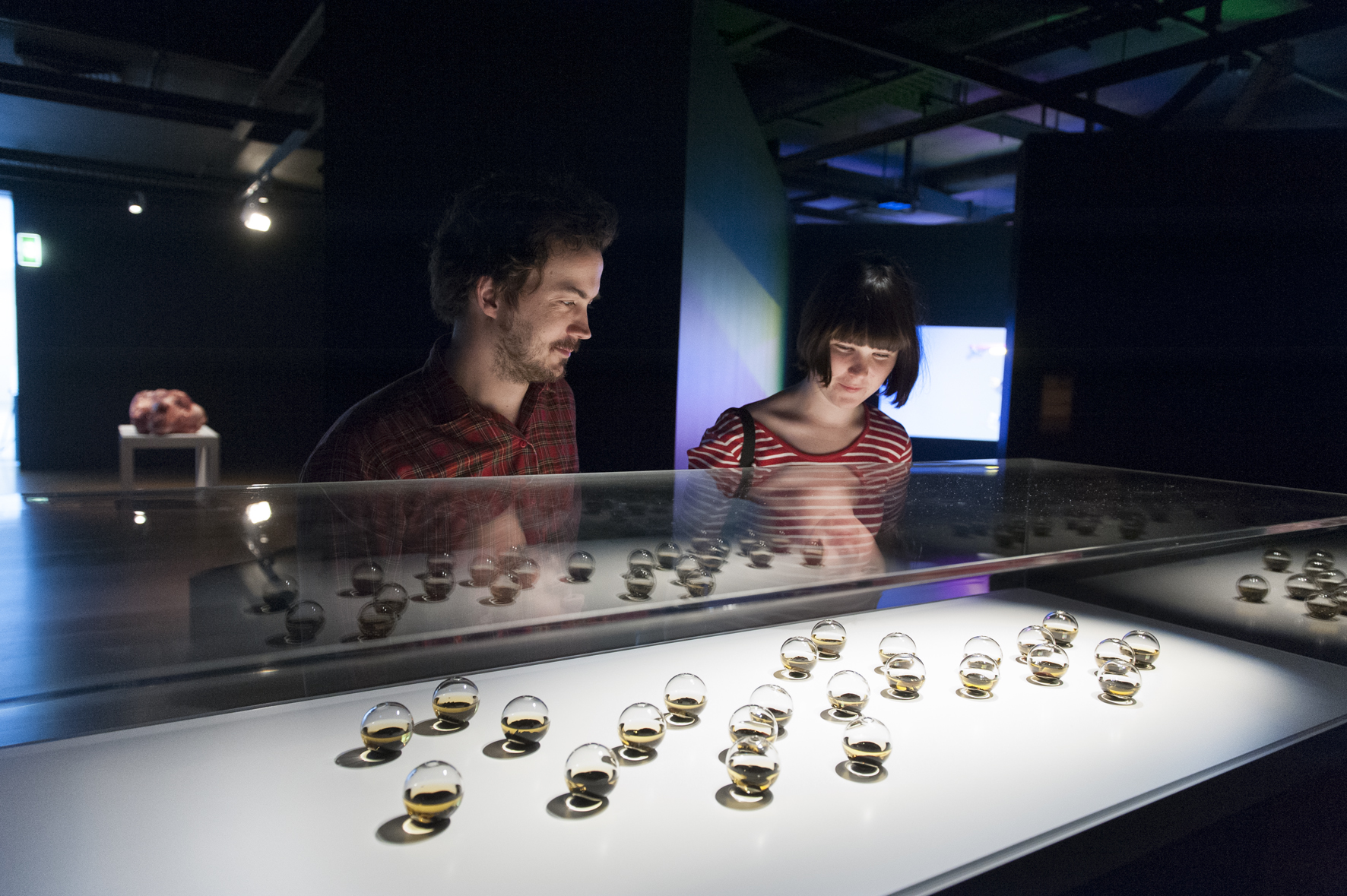 Polarity at the National New Media Art Award 2012, Gallery of Modern Art, Brisbane, Photograph: Mark Sherwood, QAGOMA| © Courtesy: The artist