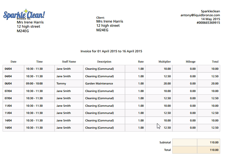 cleaning business software finance