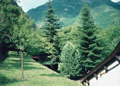 The top terrace