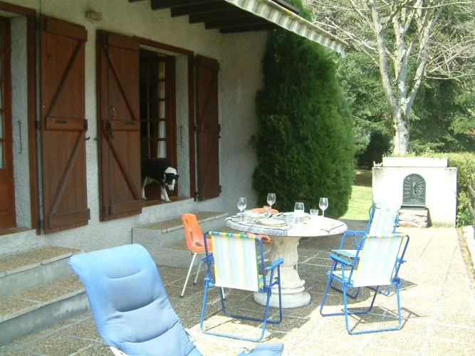 Sunny lunchtime on the patio