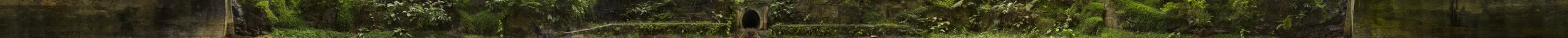 Helenburgh tunnel final entire - Squarespace.jpg