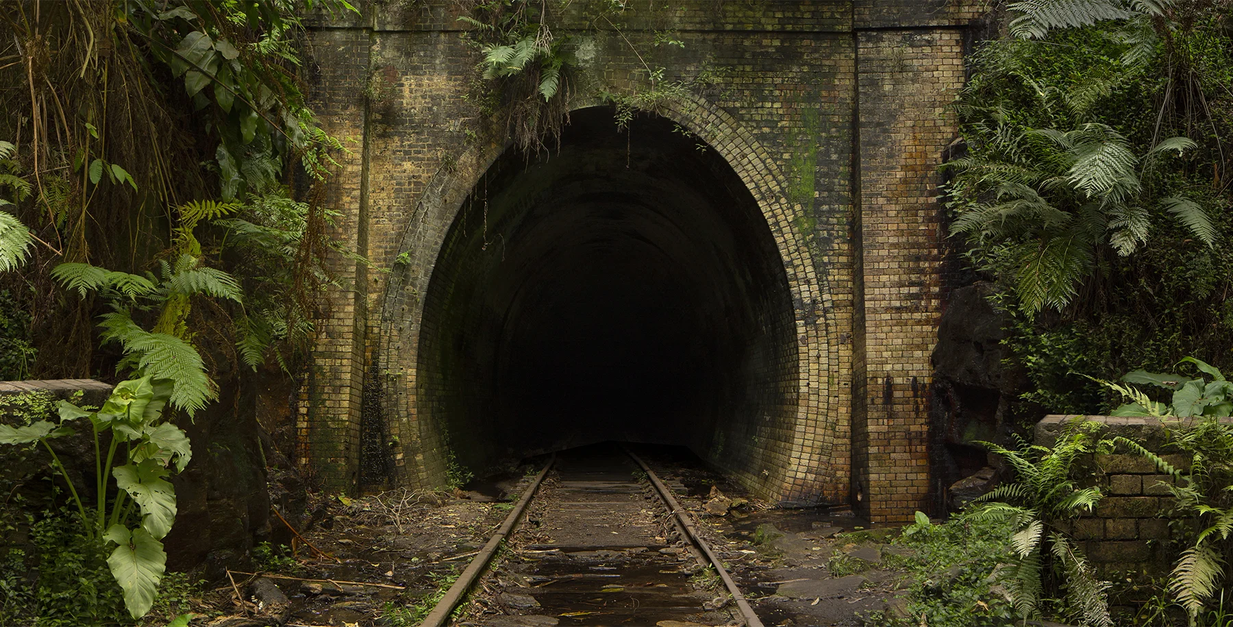 tunnel for Insta 3.jpg