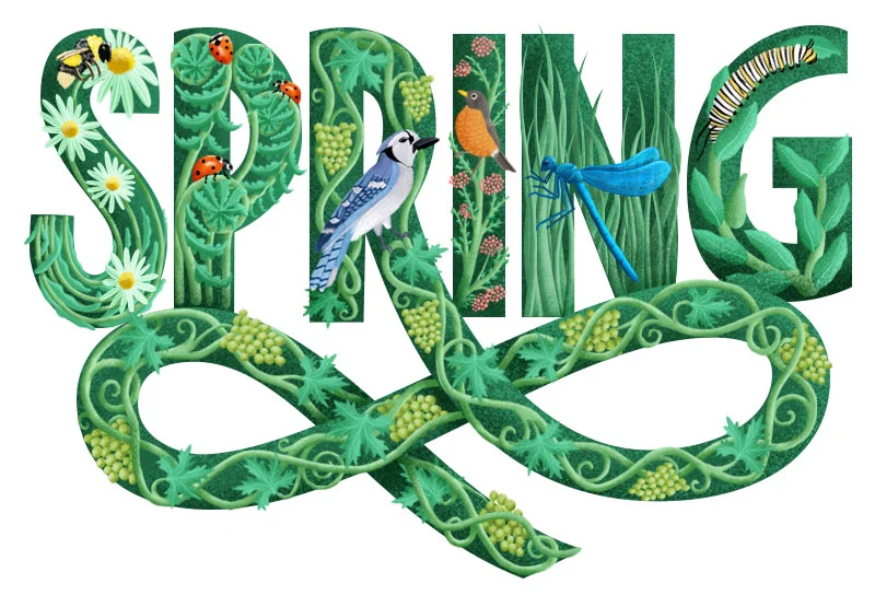 Illustrative Lettering Process — Ray Mawst Lettering & Design