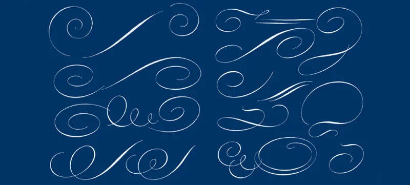 (Flourish Drawing Credit - Tommy Thompson - Script Lettering For Artists )