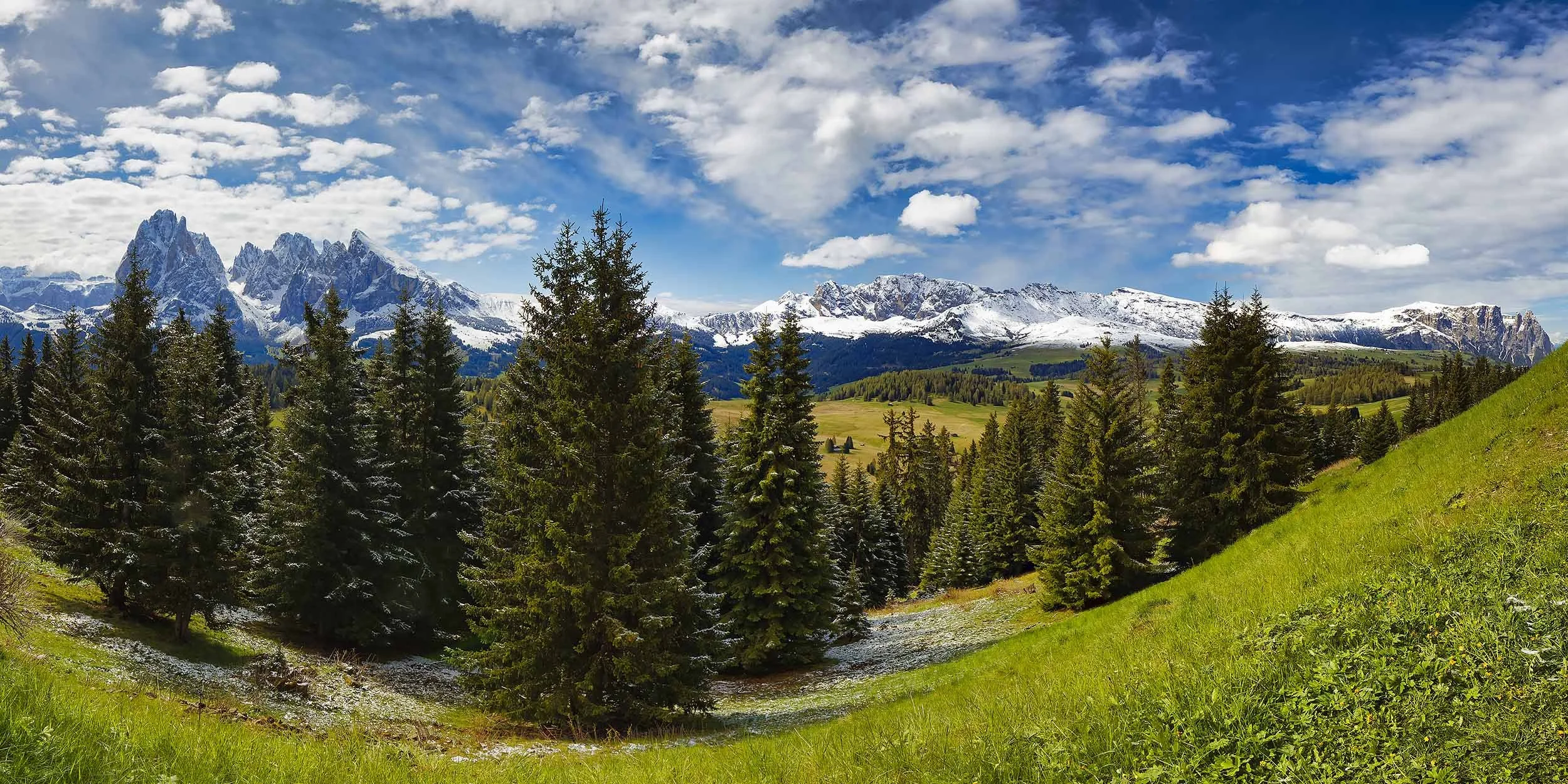 Alpe di Siusi Panorama
