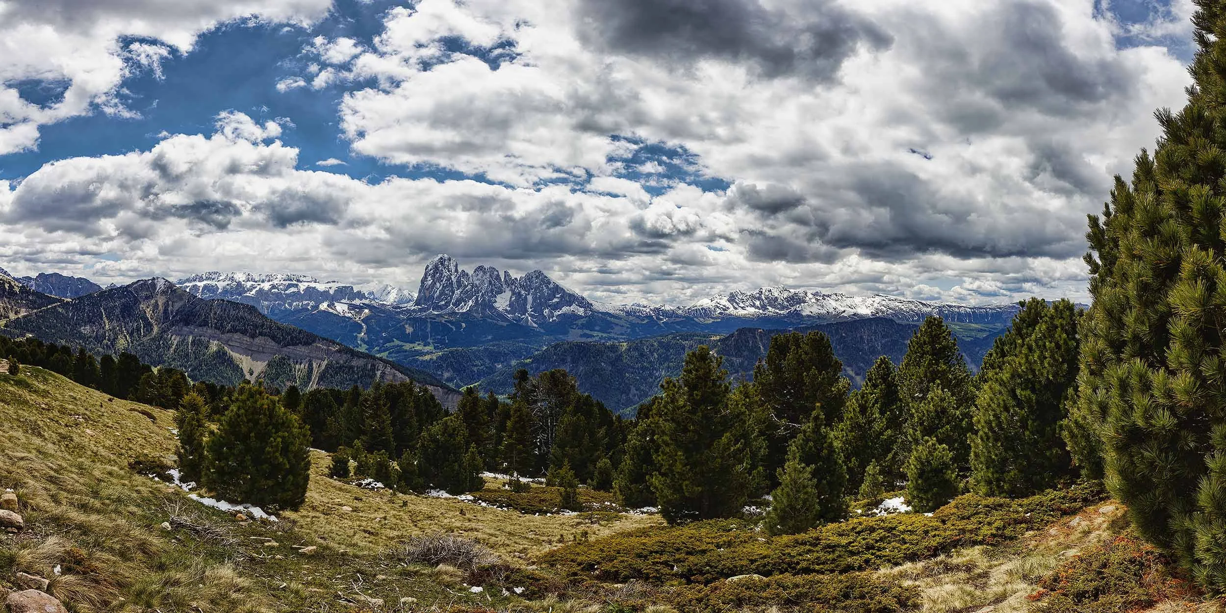 Alpe Resciesa Panorama.jpg
