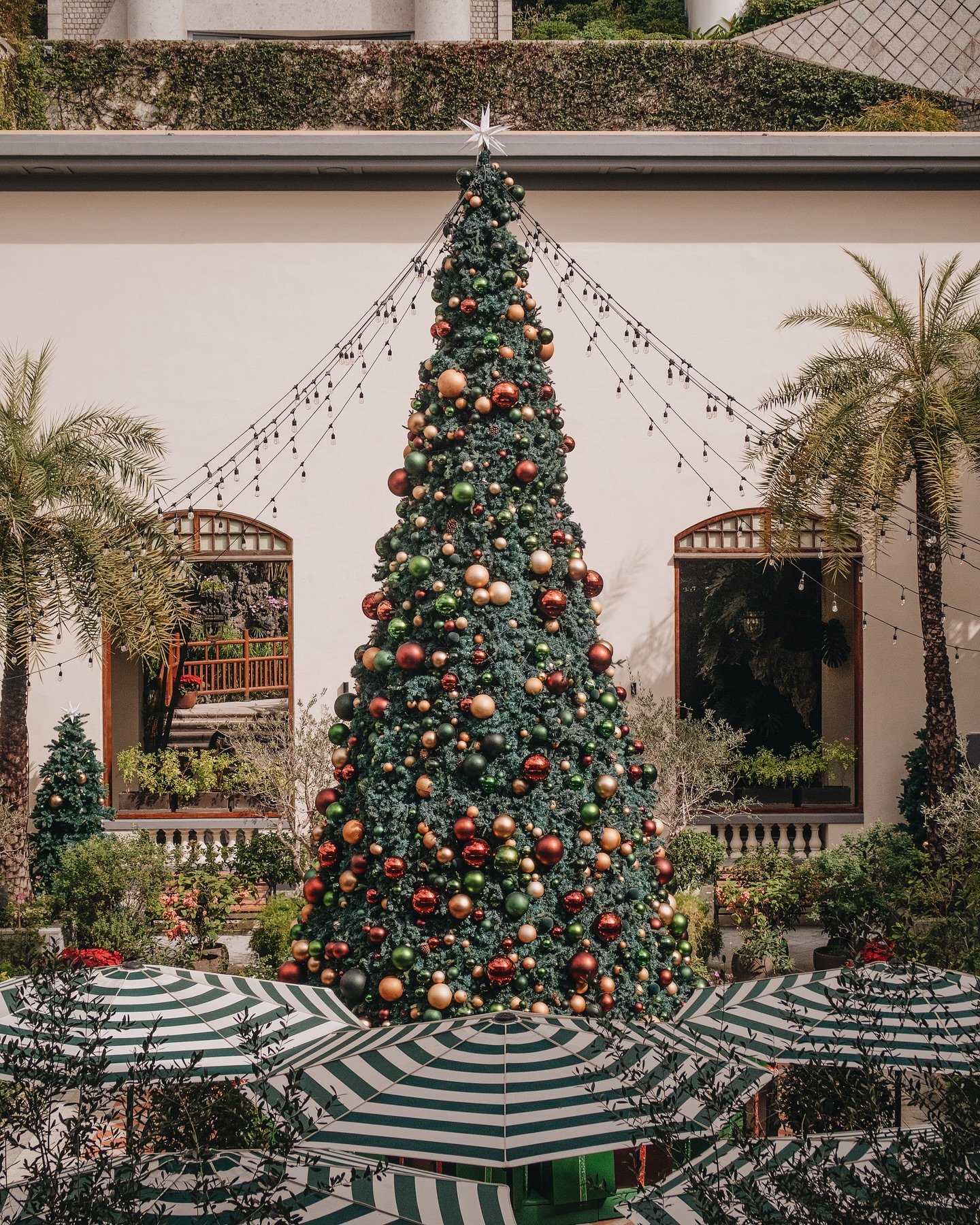 𝚖𝚎𝚛𝚛𝚢 𝚌𝚑𝚛𝚒𝚜𝚝𝚖𝚊𝚜 🎄 𝚋𝚞𝚘𝚗 𝚗𝚊𝚝𝚊𝚕𝚎