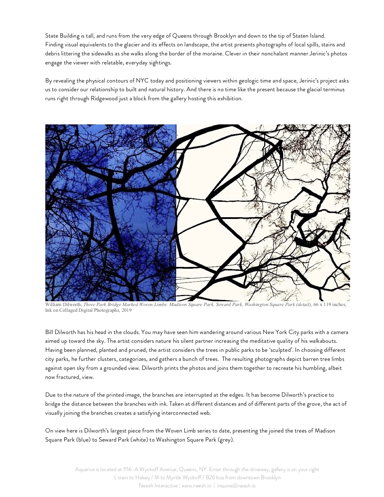 Neesh May 2019_PRESS RELEASE_p2.jpg