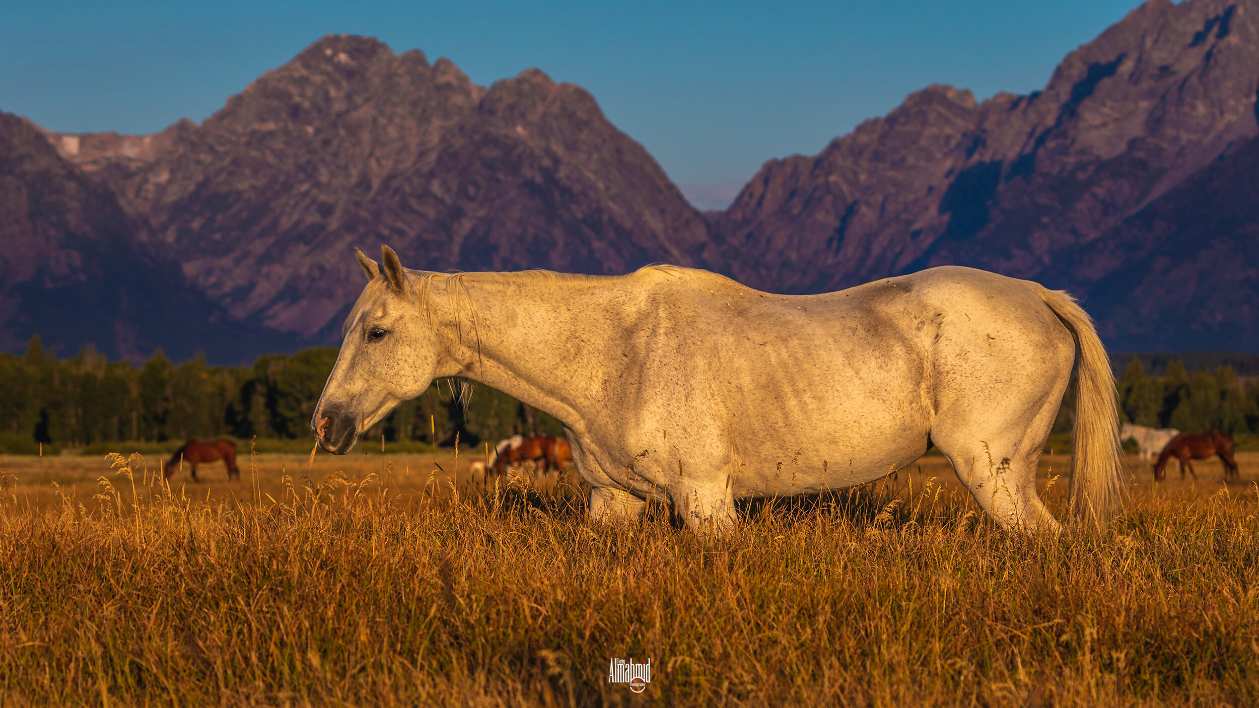 J70A1519-Edit.jpg