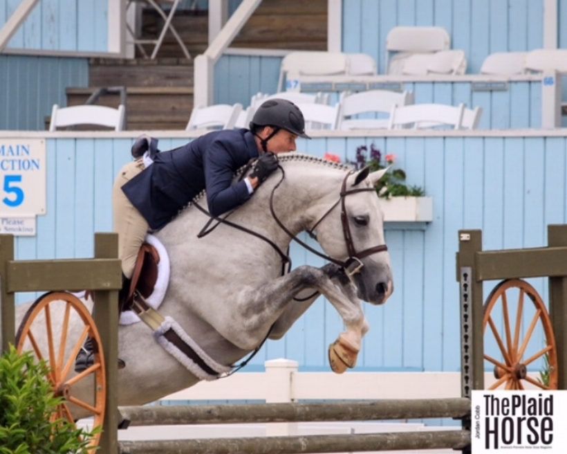 Devon Horse Show, 2017