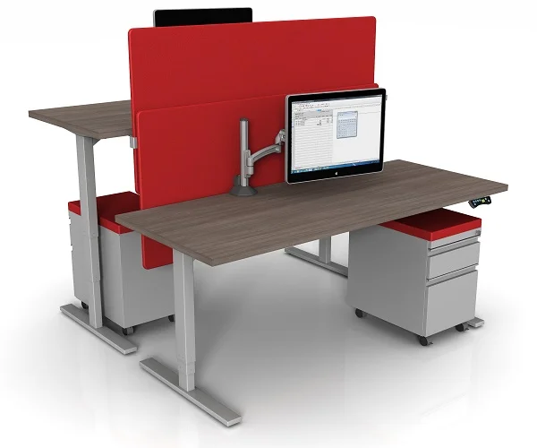 Sit stand.jpg