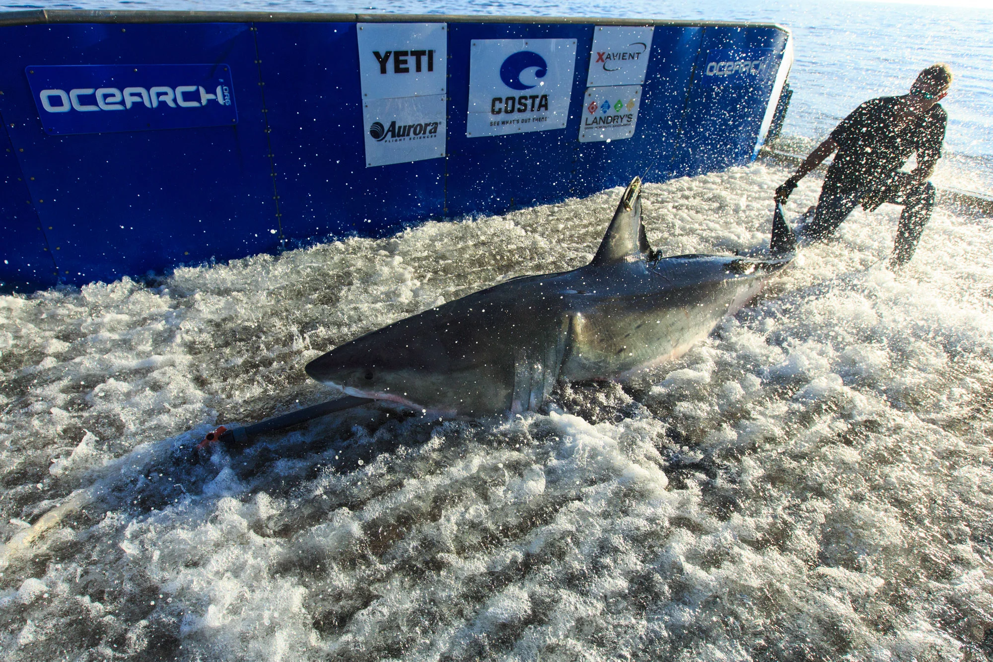 JaacksOcearchNantucket__Y2C9459-1.jpg