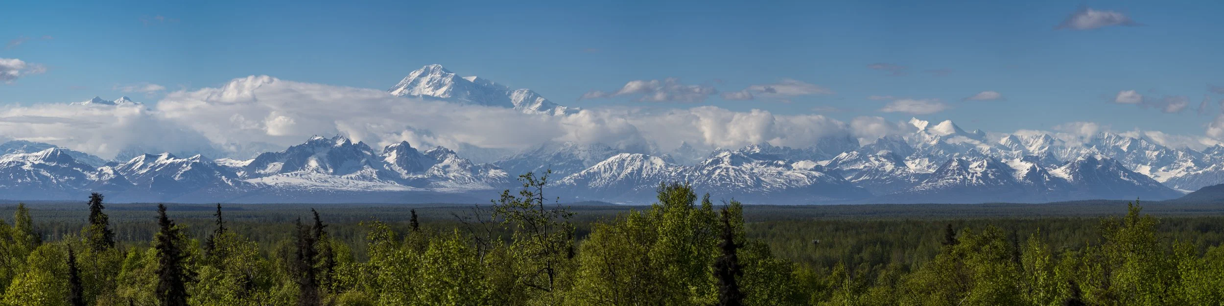 _DSC4529-Pano.jpg