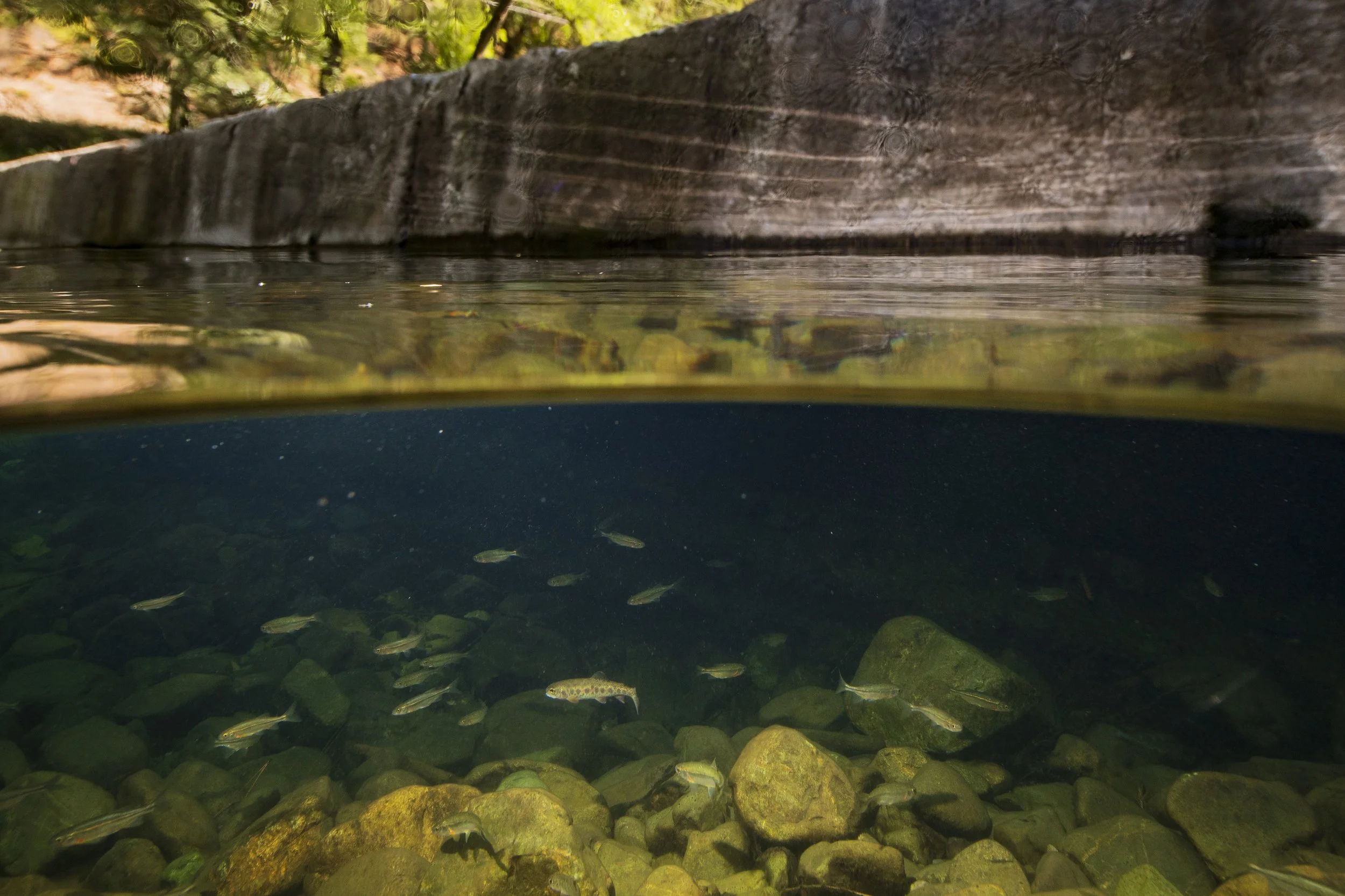 Jaacks_RestoringRivers_04.jpg