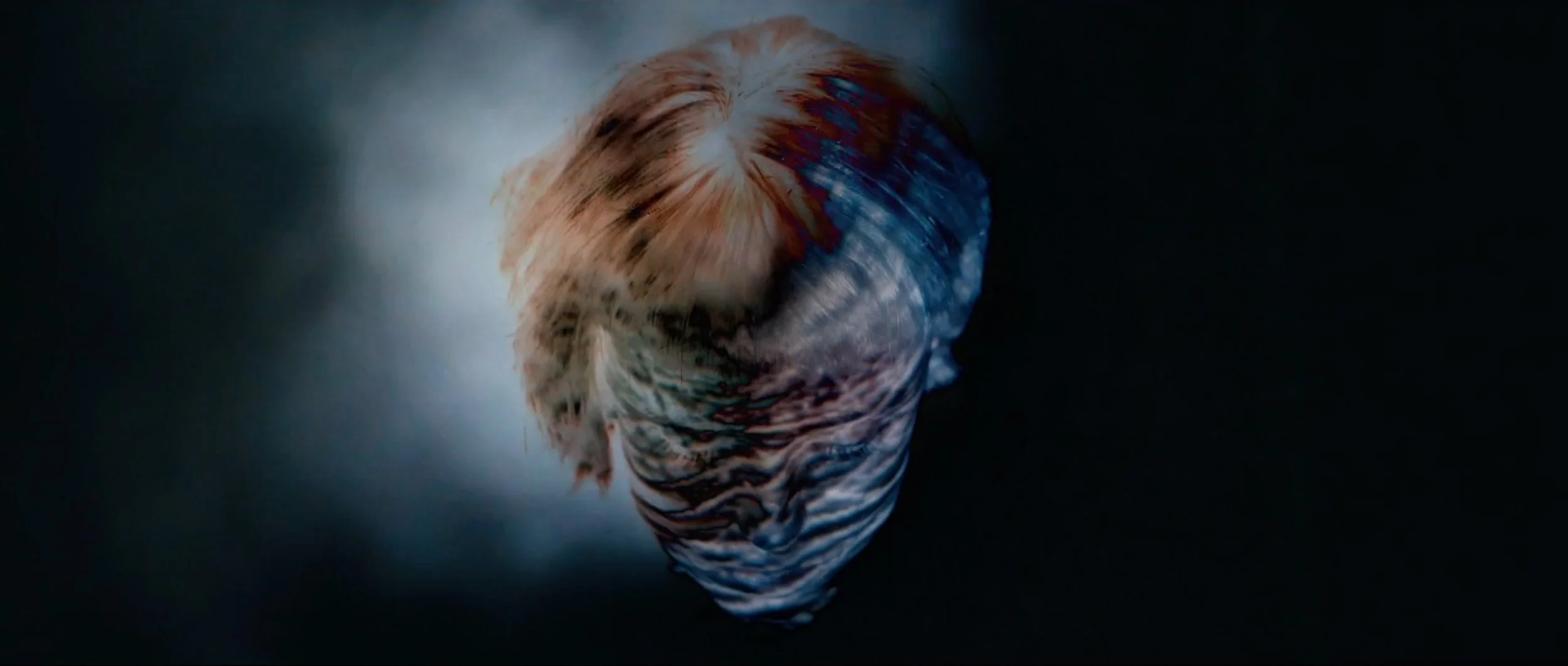 Screen Shot 2019-03-22 at 12.03.37.jpg