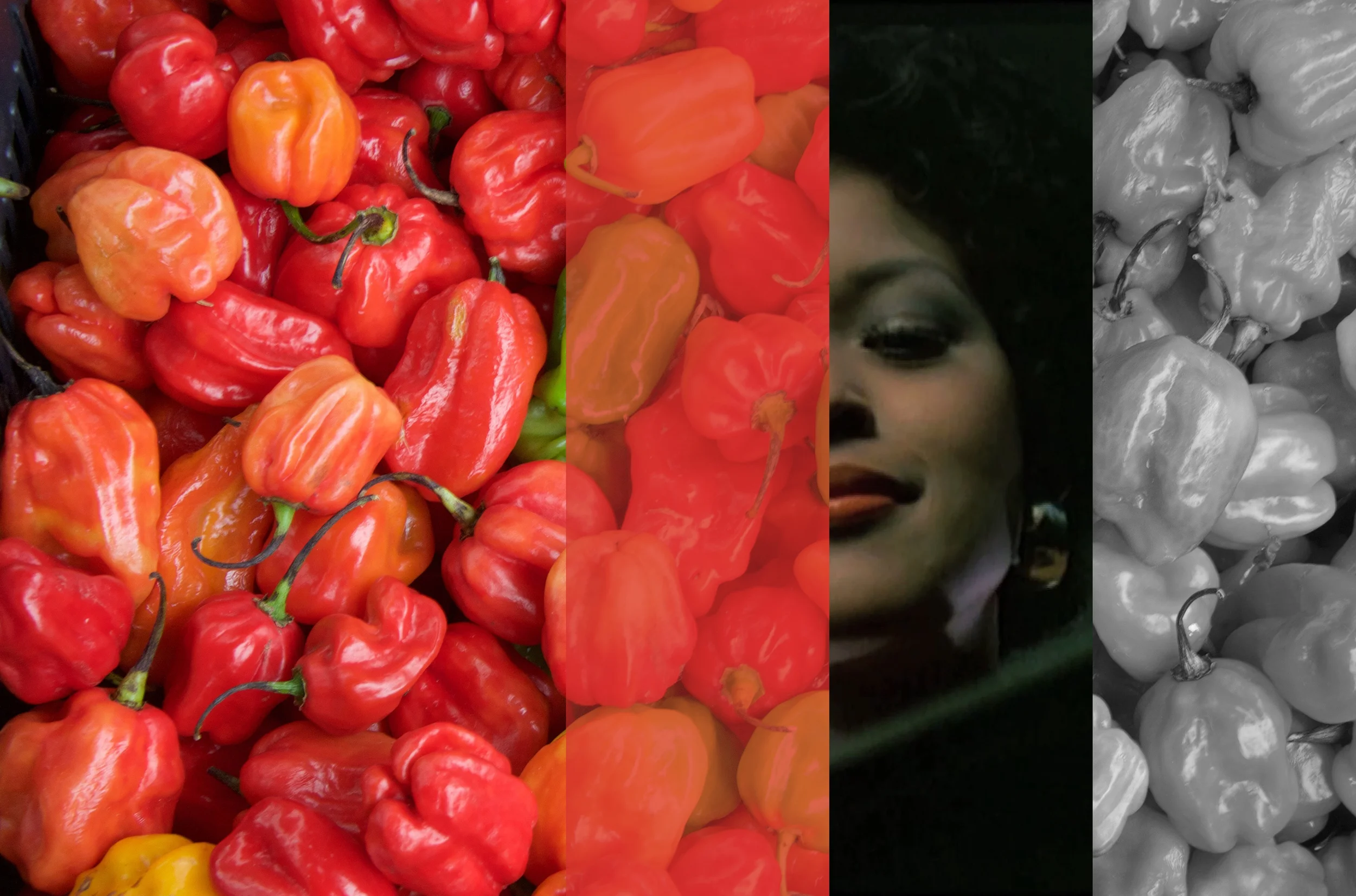Vermillion 2015