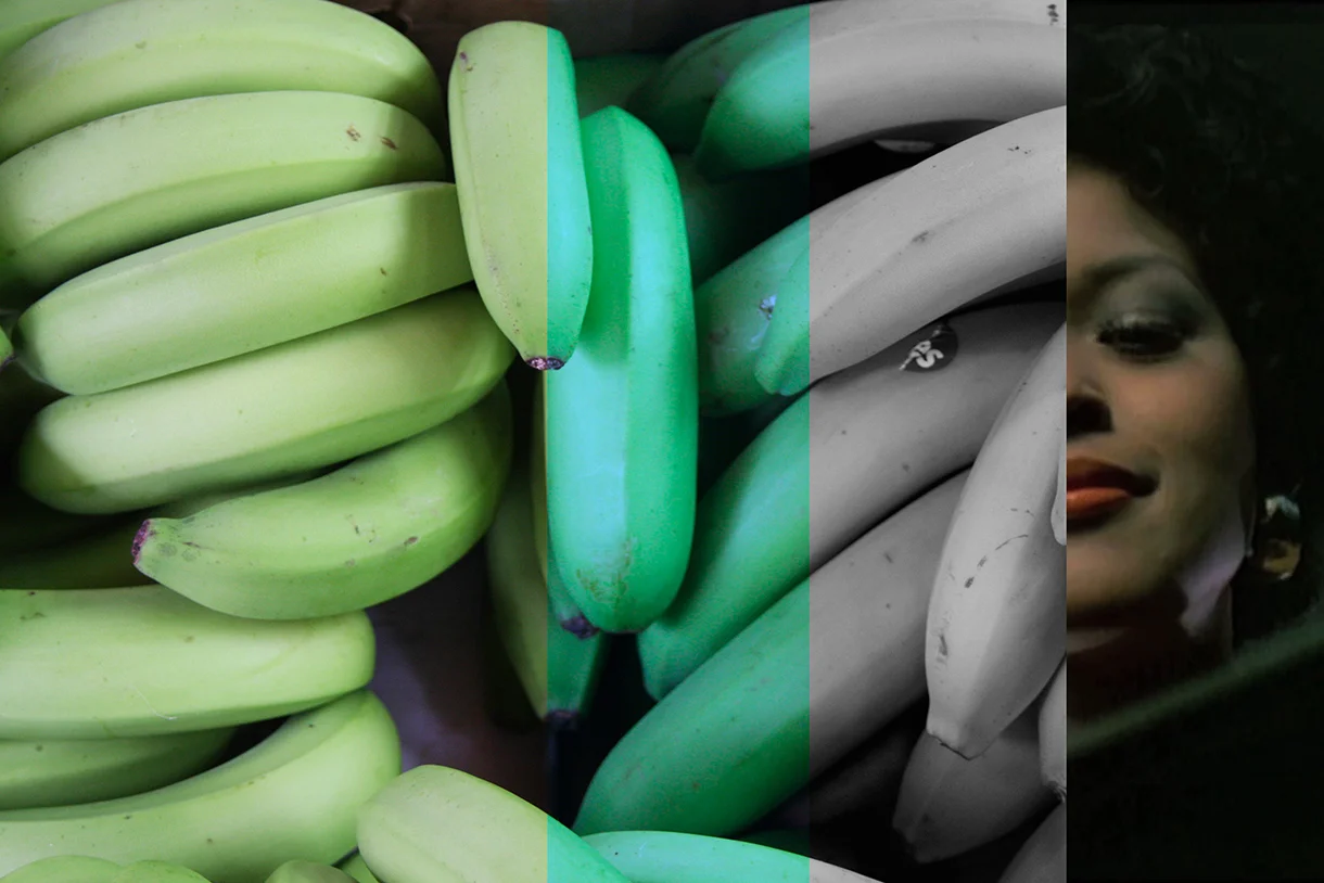 Malachite 2015