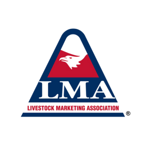 Government, Industry Affairs, and Legal Administrator