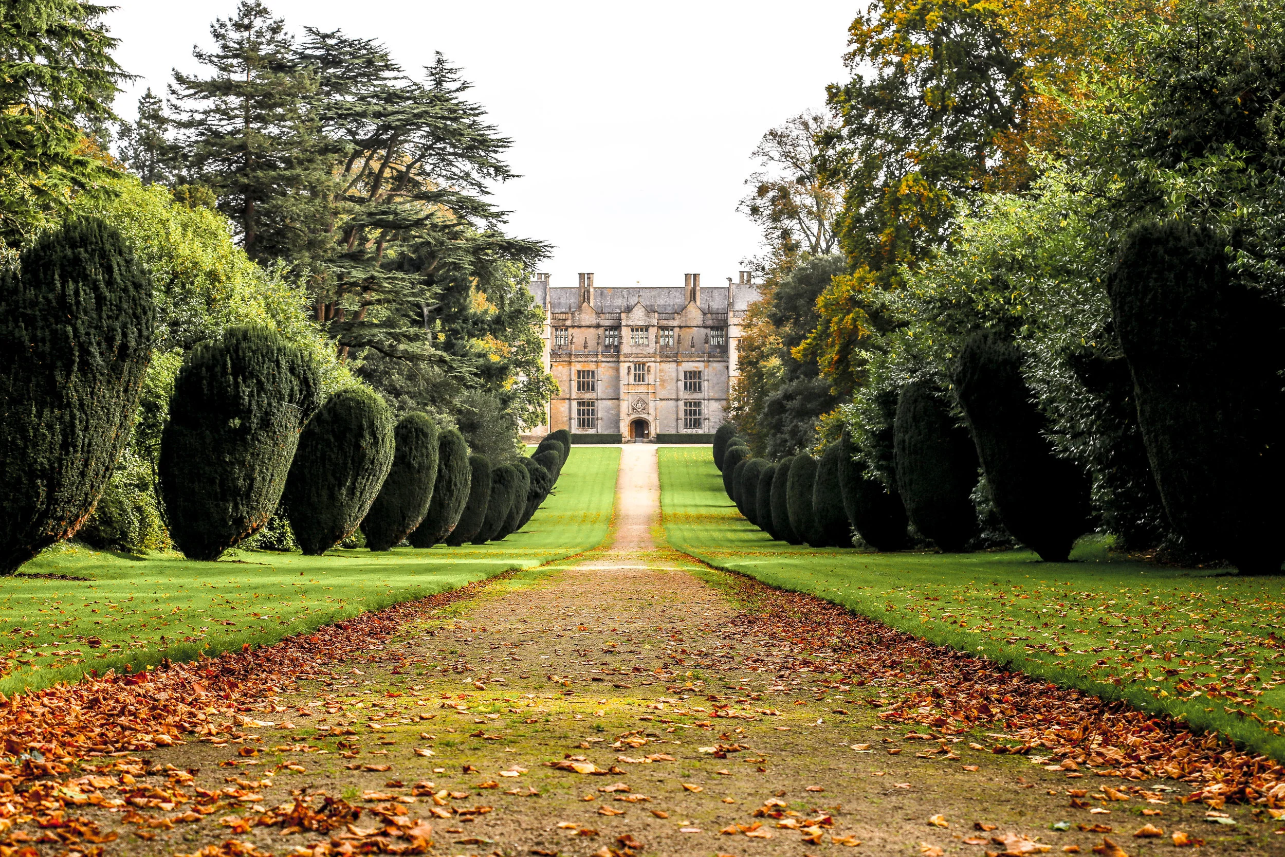 Down the autumnal trail Montacute UK