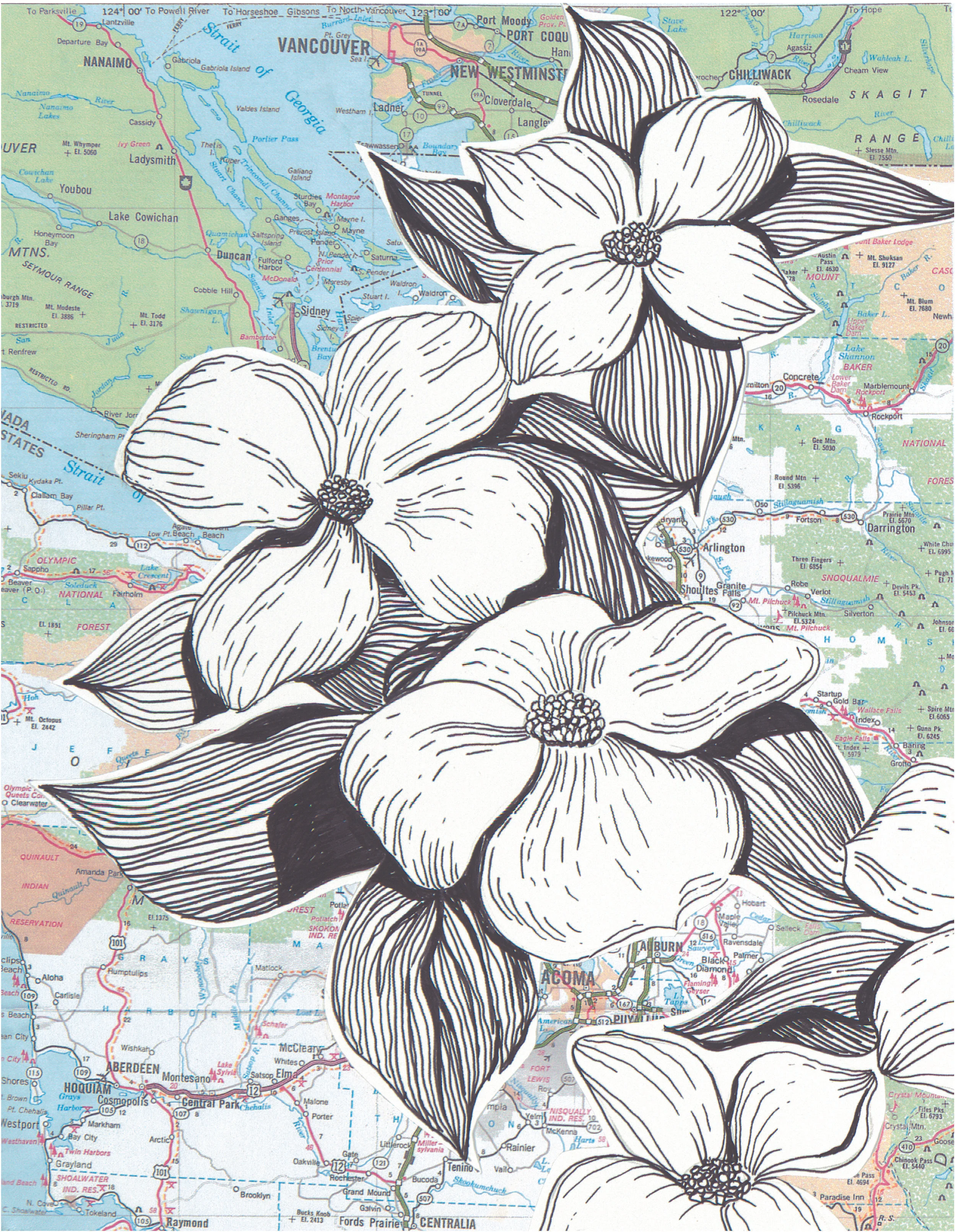 SARR_Dogwoods NW