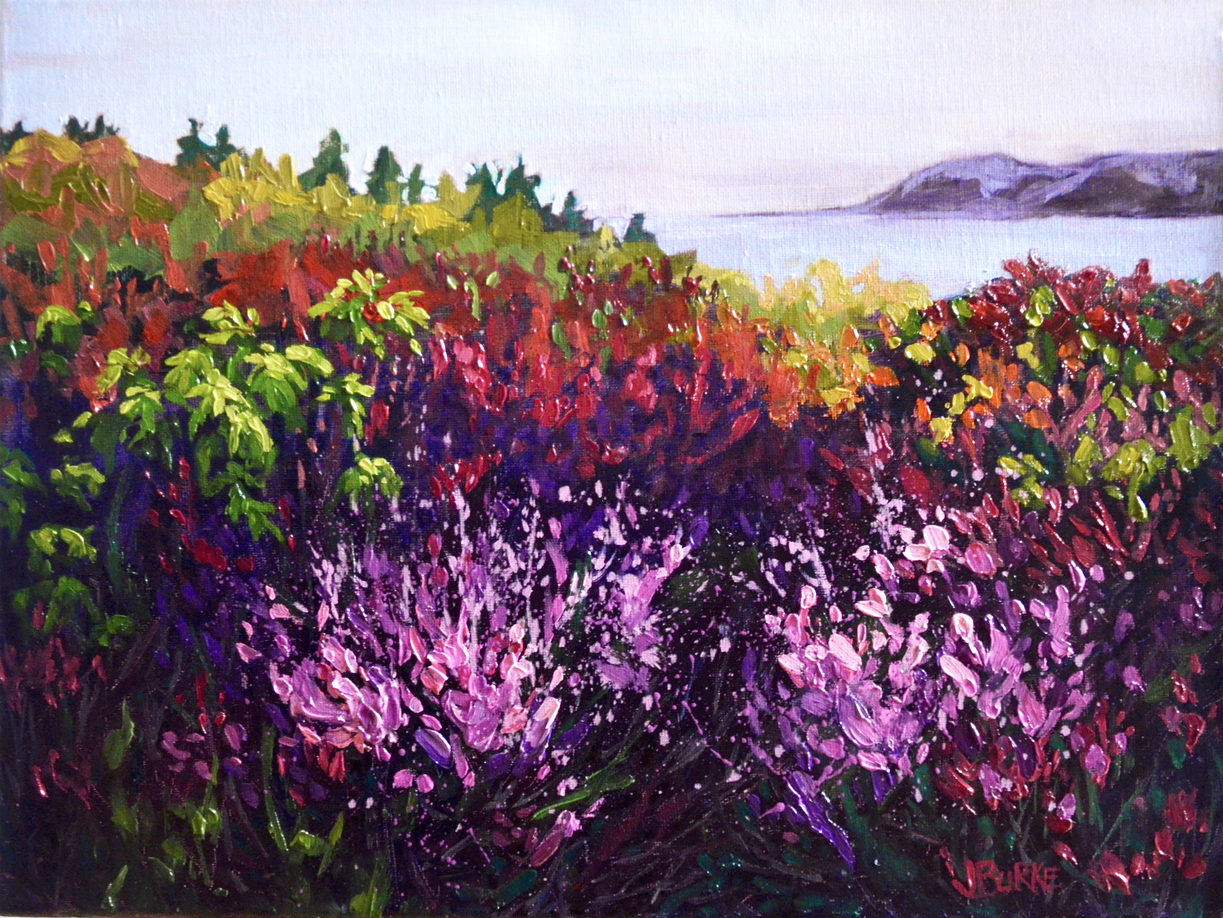 Norwegian Meadow
